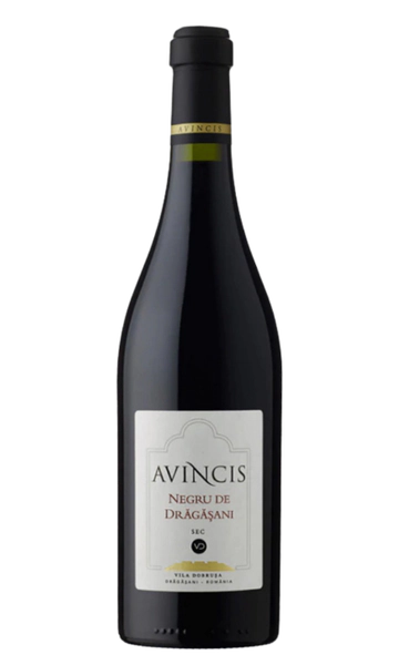 Avincis Negru de Drăgășani